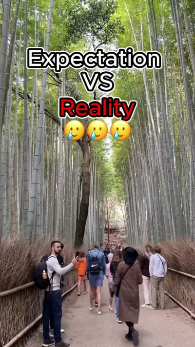 Expectations VS Reality - Japan Kyoto Arashiyama Bamboo Forest | 京都 #shorts #solotravel