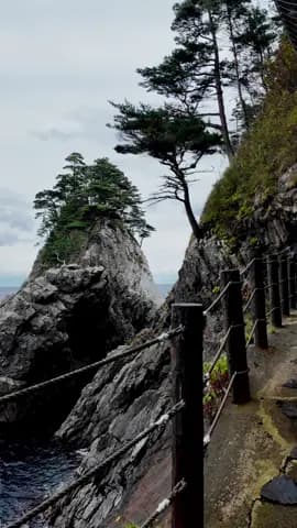 Minchinoku Coastal Trail, Iwate, Japan #japanhiking #japannature #japantravel #iwate #hiddengemsjapa