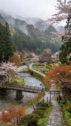 Comment “JAPAN” if you want to visit here 🇯🇵✨ #creatorsearchinsights #visitjapan #explorejapan #ja