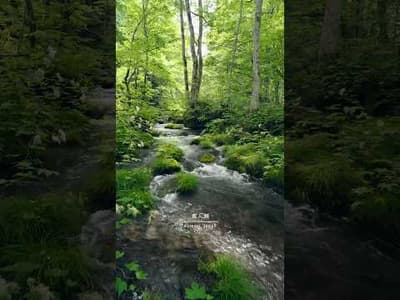 青森・奥入瀬渓流の景色 The breathtaking views of Oirase Stream, Aomori. #japantravel #visitjapan #絶景 #国内旅行