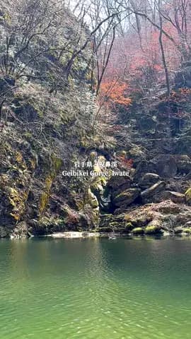 静けさに溶け込む、日本の絶景。 A peaceful hidden gem in Japan 🇯🇵 岩手県・猊鼻渓で体験した舟下り。 We took a traditional boat ride