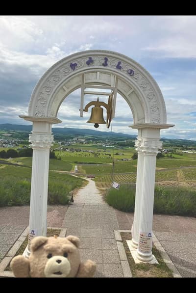 POV: You just discovered the most dreamy place in Hokkaido, Japan. 💜✨ If you’re dreaming of a purpl