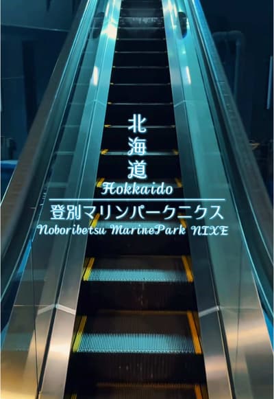 📸日本のおすすめスポットを紹介📸 📍北海道 【登別マリンパークニクス】 🇯🇵Hokkaido 【Noboribetsu Marine Park Nixe】 出先でジンバル忘れたの気づいてブレ