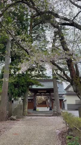 Kakunodate จังหวัด Akita ตรงสนามเด็กเล่นระหว่างทางเดินไป Samurai Village #kakunodate #samuraivillage
