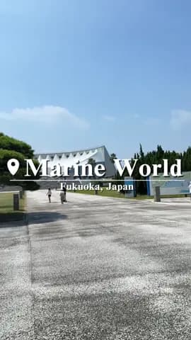 If you’re looking for things to do in Fukuoka, don’t skip Marine World Uminonakamichi 🌊🪼🐬 From ma