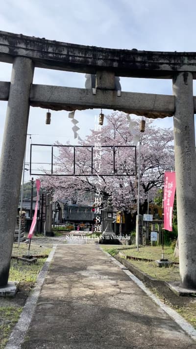 📍尾道で絶対行くべきオススメの場所8選 / 8 Must-Visit Places in Onomichi 1 猫の絵本館 2 ＬＯＧ 3 猫の小道 4 千光寺公園 5 みはらし亭 6 水尾之路 7