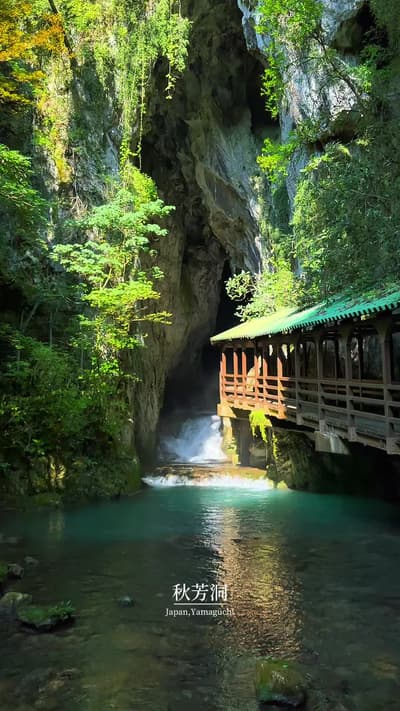 3億5000万年かけてつくられた絶景 #秋芳洞 #日本 #日本の風景 #japan
Tagged location: Akiyoshido Cave — Akiyoshido Cave, 3506-2
