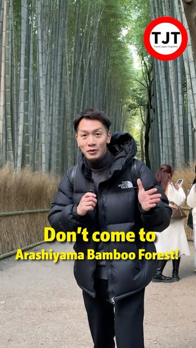Two hidden bamboo forests in kyoto🎋 #japantrip #funjapantravel #kyoto