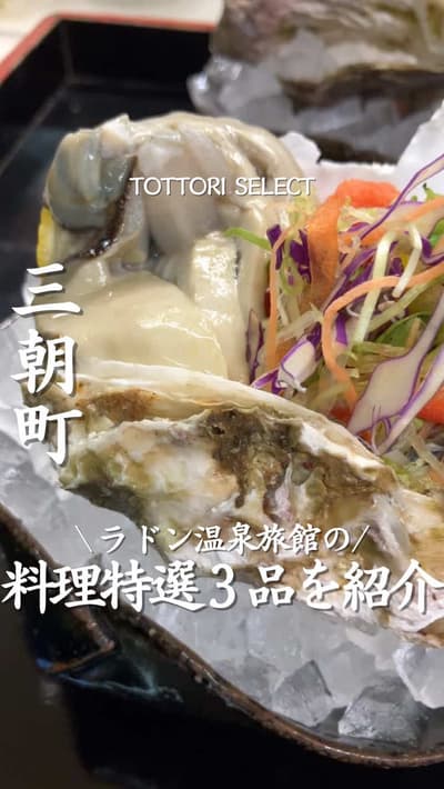 行ったことある人・知ってる人は感想や意見をコメントで教えてね！ 【三朝温泉 かがり火の宿 有楽】 鳥取県民はここ知ってる？👀 鳥取県立美術館から車で約10分🚗 三朝温泉街の奥にあるここの、 料理特