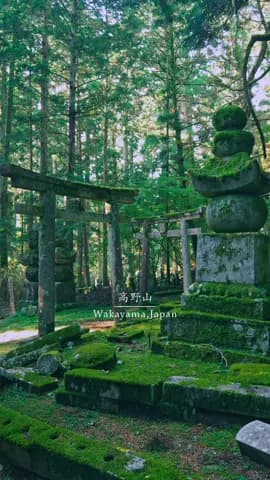 日本一神聖な場所 Where silence speaks 📍和歌山県 高野山 奥之院 / 🇯🇵Kōyasan Okunoin, Wakayama 高野山の中でも特に厳かな空気が漂う奥之院。 苔
