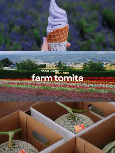 If you’re visiting Hokkaido in summer, Farm Tomita in Furano is an absolute must! It’s one of the mo
