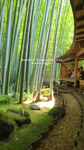 Tokyo has crowds… but just an hour away you'll find this peaceful bamboo forest where you can enjoy 