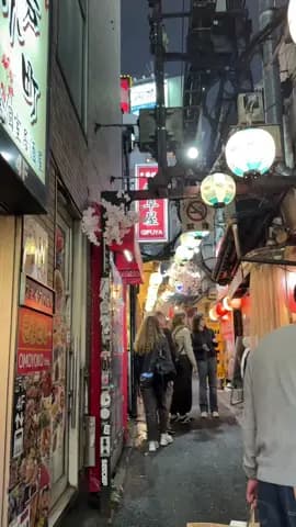 Despite the unusual name, Omoide Yokocho (better known as Piss Alley, or memory lane) is one of Toky