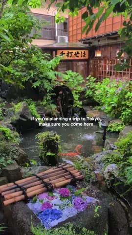 My favourite area in Tokyo 🌿🧚 Jindaiji sits out in Chofu and it'll take you around an hour to get 