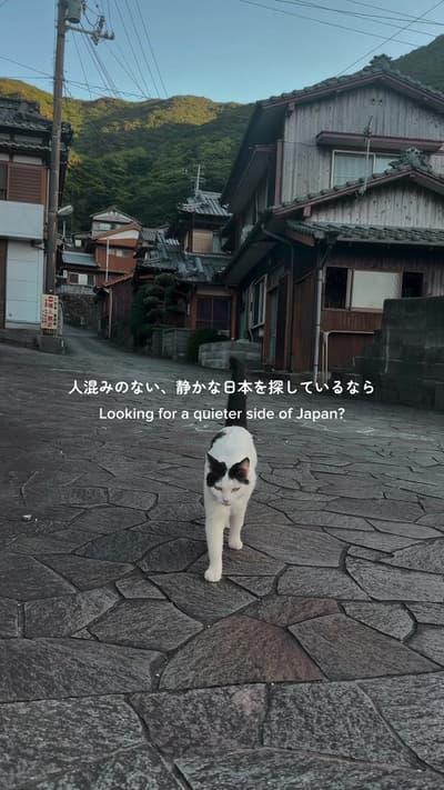 日本っていいなって感じる美しい静かで温かくて時間がゆっくり流れるローカル旅🐈🌿🐟 📍石垣の里（愛媛県愛南町） 📍大下民宿 気になったら保存して、いつか訪れてみてください🌿 A quiet,
